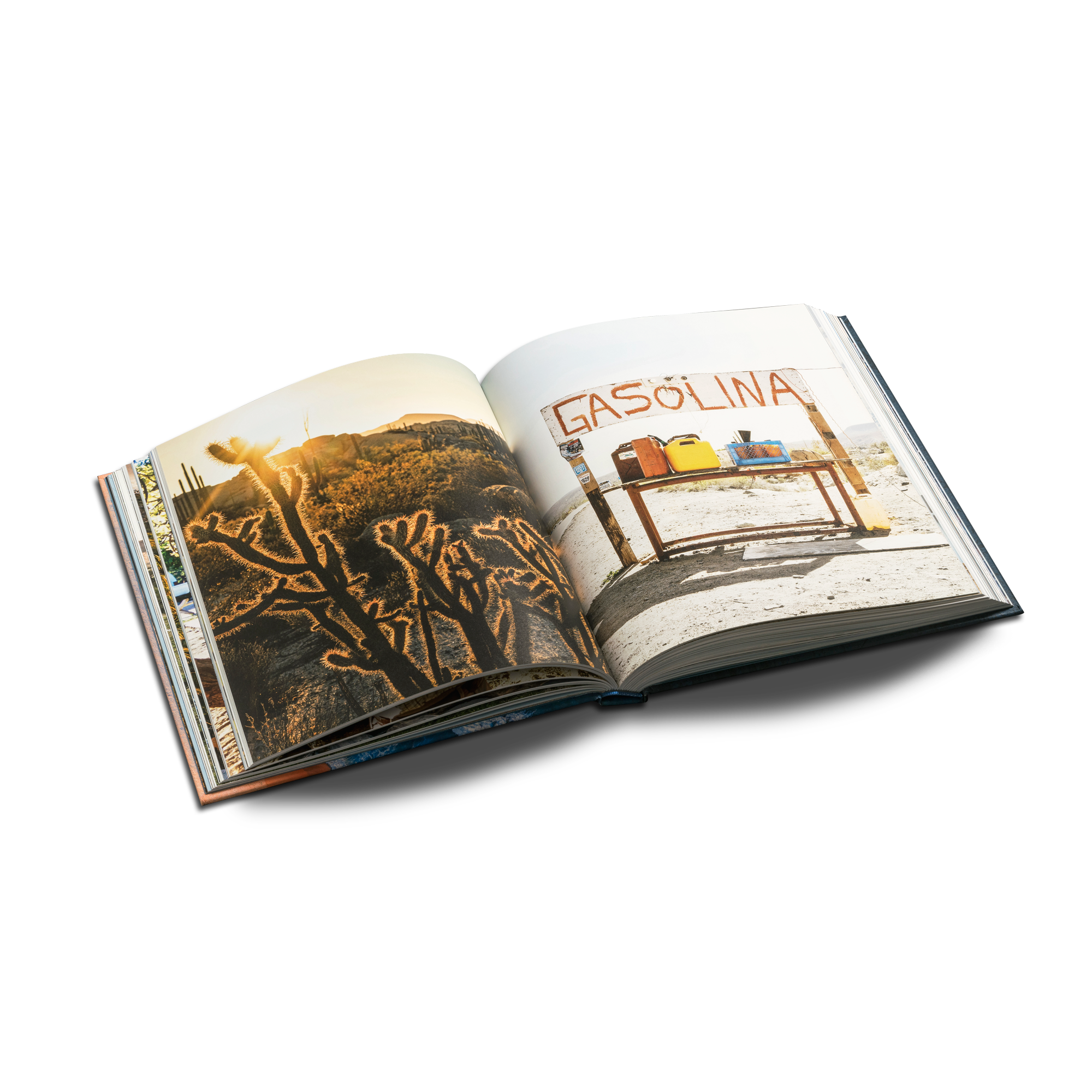 Baja California Península - Image 6