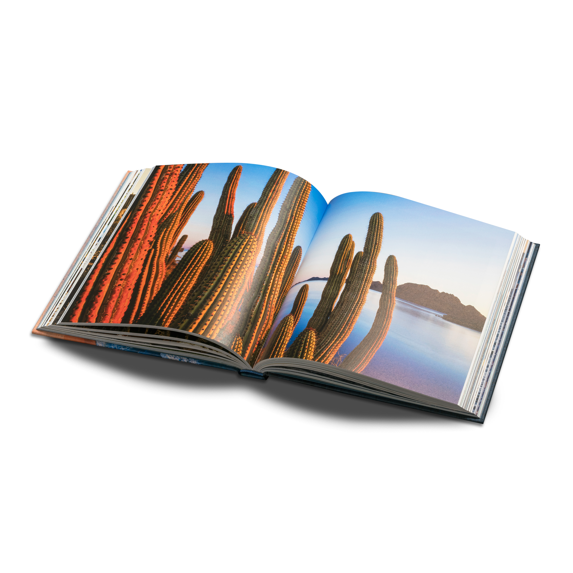 Baja California Península - Image 3